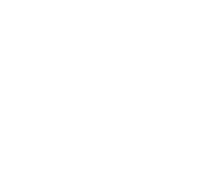 Loony Leads Electrical